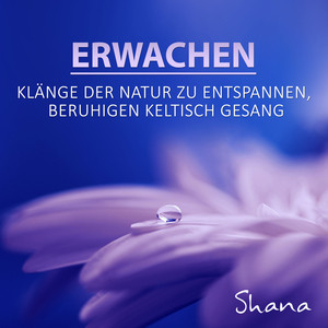 Erwachen: Zen-Meditation, Yoga Lieder, Wohltuend und beruhigend keltisch weiblichen Gesang, Therapie Musik für den inneren Frieden, Instrumental Hintergrundmusik, Klänge der Natur zu entspannen cover
