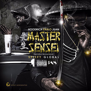 Master Sensei cover