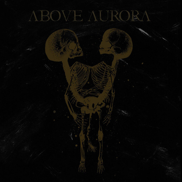 Above Aurora Photo