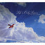 To See If We Could Fly Albumcover