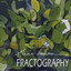 Fractography Albumcover