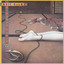 Ginseng Woman cover