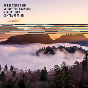 46 Relaxing Rain Sounds for Tranquil Meditation & Contemplation album