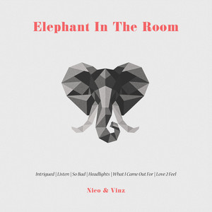 Elephant in the Room cover