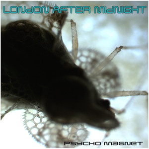 Psycho Magnet album