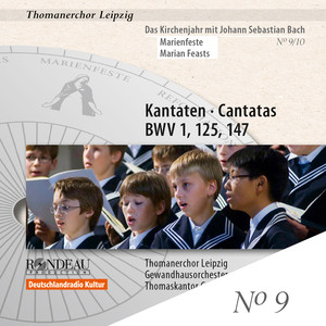 The Liturgical Year with J.S. Bach, Vol. 9: Marian Feasts album