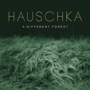 A Different Forest cover
