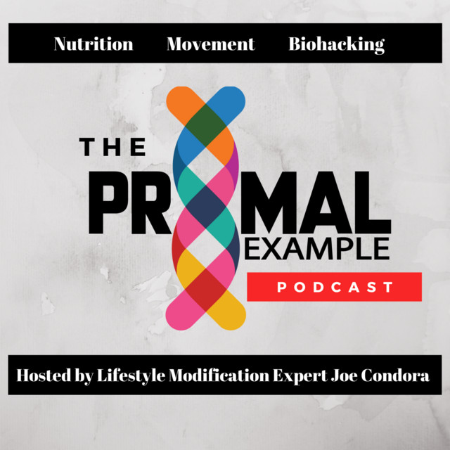 Primal Example Podcast | Podcast on Spotify