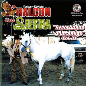 Recordando Un Amigo cover