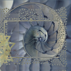 Imaginal Symmetry cover