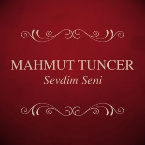 Sevdim Seni Albumcover