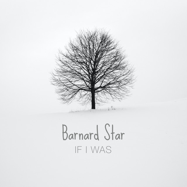 Barnard's Star Photo
