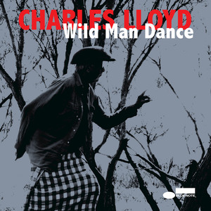 Wild Man Dance cover