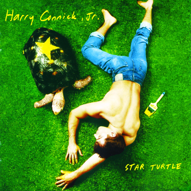Star Turtle cover