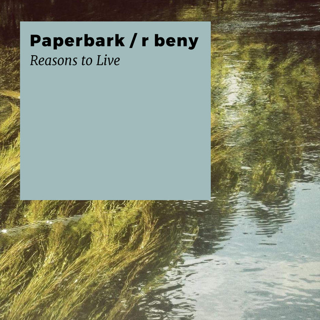 Paperbark Photo