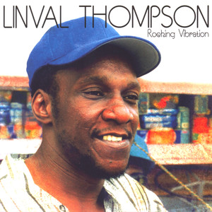 Rocking Vibration album