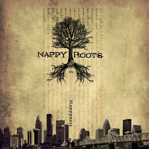 The Pursuit of Nappyness cover
