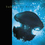 Submarine Bells cover