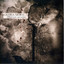 Lifestream Corrosion Albumcover