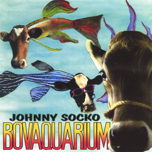 Bovaquarium album