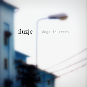 dogs in trees