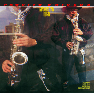 Manhattan Burn cover