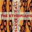 Slave Call cover