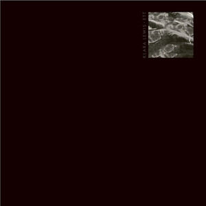 c a t t cover