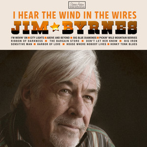 I Hear The Wind In The Wires cover