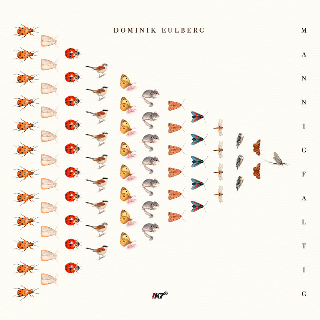 Musik Album 'Mannigfaltig'