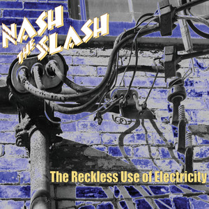 Reckless Use of Electricity cover