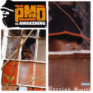 The Awakening cover