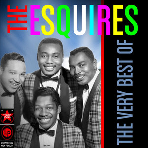 The Very Best Of The Esquires cover