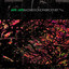 Bastard Son of a Brick Thief Albumcover