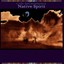 Native Spirit Albumcover