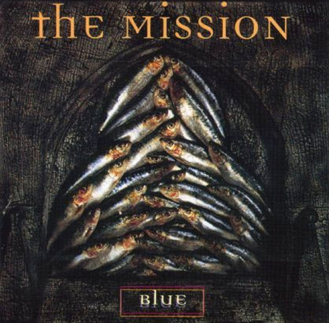 Blue cover