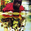 Saga of the Good Life & Hard Times Albumcover