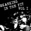 Skanking in the Pit, Vol. 1 Albumcover