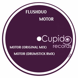 FlushDuo