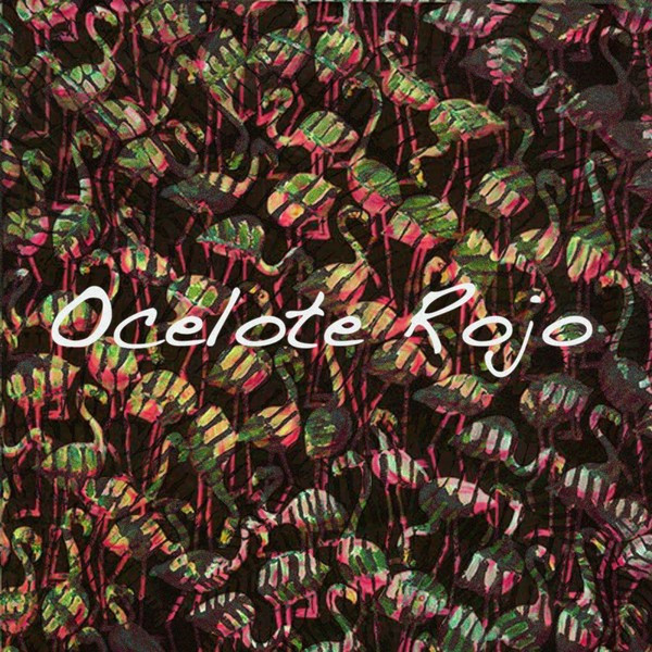 Rojo Photo