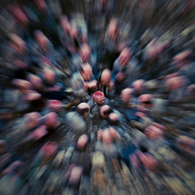Skence Photo