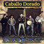 Somos Héroes cover