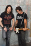 Sweet & Lynch profile