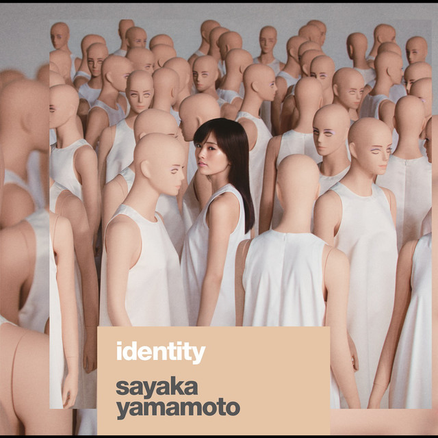 Identity cover