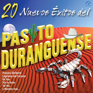 20 Nuevos Exitos del Pasito Duranguense Albumcover