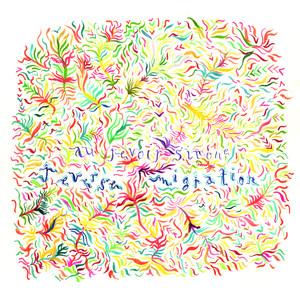 Reverse Migration album