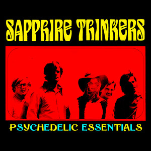 Sapphire Thinkers Photo
