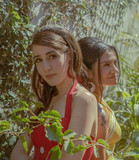 Escarlata profile