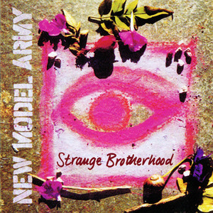 Strange Brotherhood album