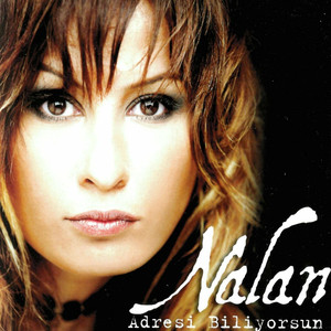 Adresi Biliyorsun cover